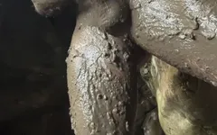 Playing Dirty in the Mud