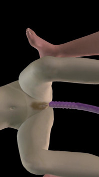Animated 3D Porn - Beautiful Girl Strap on Fucks Asian Man Then Double Dildo Doggy