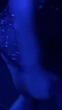 Let Me Put on a Show for You Daddytwerk My Juicy Ass in Your Face!!