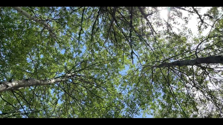 Crypto Mommy: 观看我热辣的健身