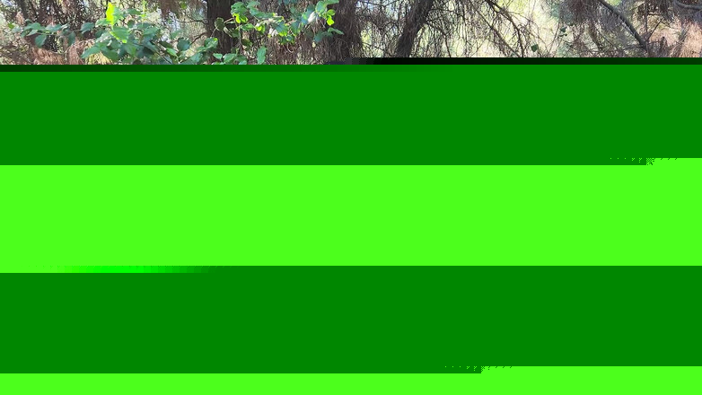 Riderqueen BBW Step Mom Latina Ebony: Riderqueen 独自一人，户外，粉丝视频