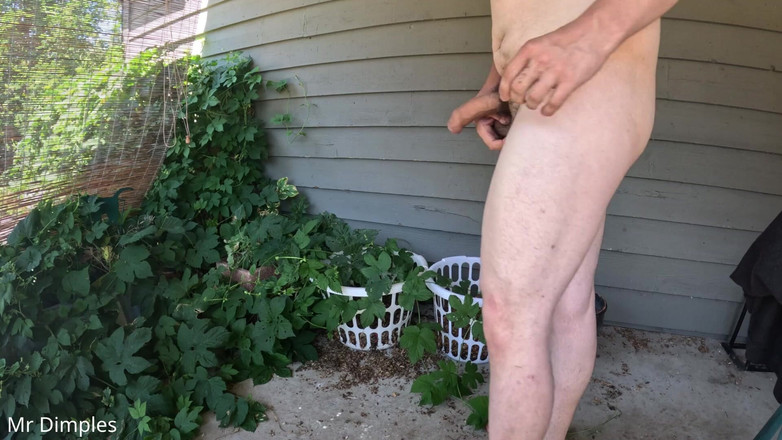 Mr Dimples: 我在户外用我的大黑屌假阳具自慰！