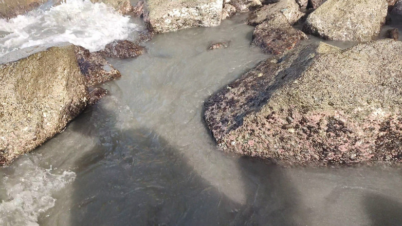 LiL Latin Goddess: Bts Blooper Open Oceaan Phootshot