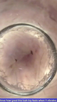Fat Glass Dildo Inside View