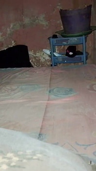 No Pussy, No Issue. I Have My Bed.