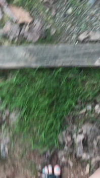 My pretty feet outdoors
