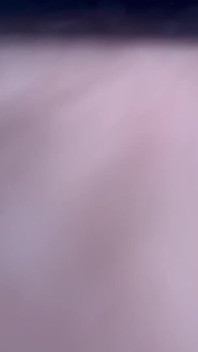 Hard Dick in the Morning