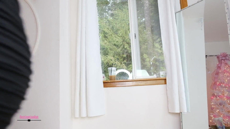 Destination Kat: Titta vad du har gjort mot dig själv