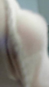 Nylon Socks