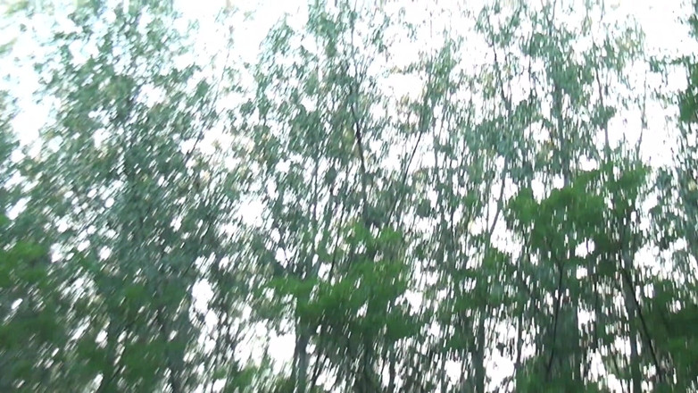 Cum Outdoor: jangal men dubli larki ko chodna