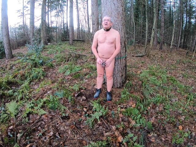 Andy: Dildo nel bosco 3