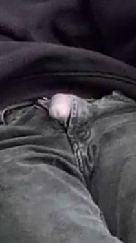 This Gay Twink Sticks His Cock Through His Fly to Jerk off Outside