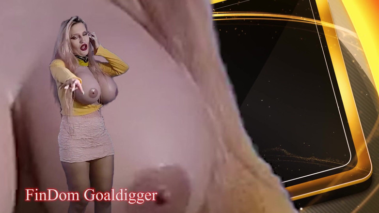 FinDom Goaldigger: Android WICHSANLEITUNG