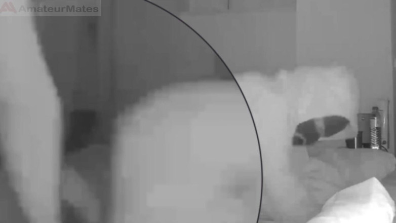 AmateurBoysPissing: Pemecah ihousebreaker bahagian 1 ditangkap, dihukum dan dihina oleh kembar amatur