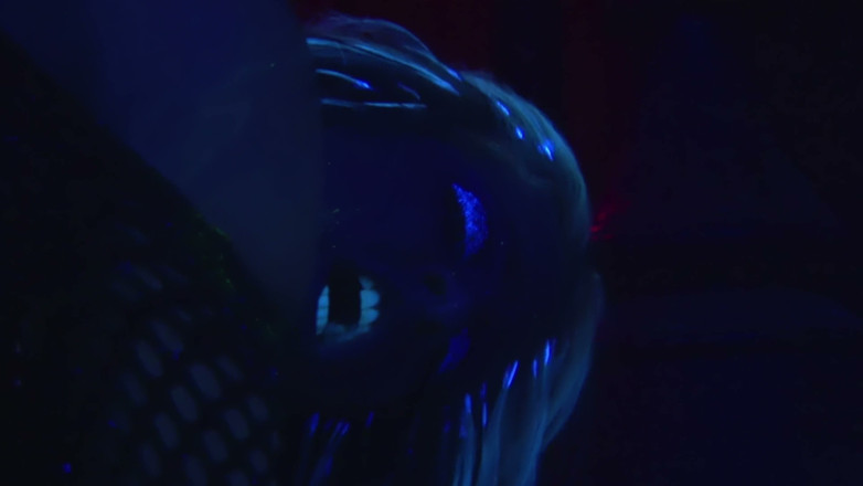 Lesbian Love Movies: Gode glow-in-the-dark - une blonde en résille et une brune jouent...