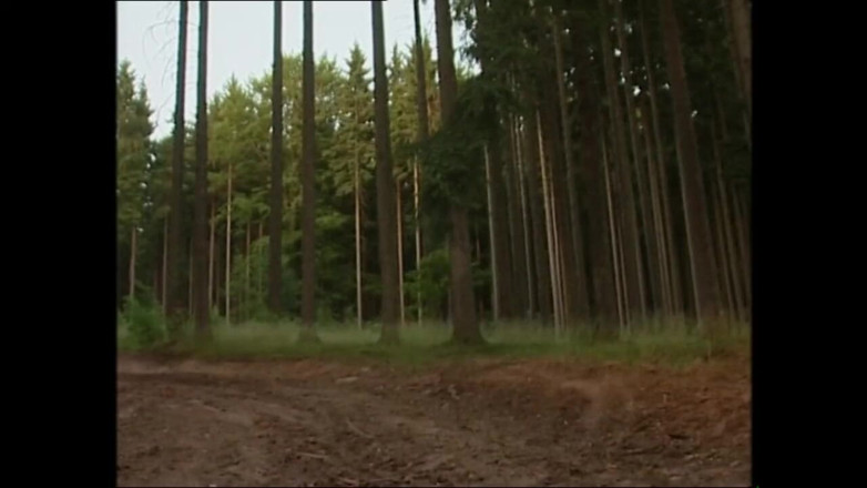 PURZEL TV - our best full movie: Nestoudné děvky s nespoutanými touhami