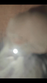 749771317682647040.mp4