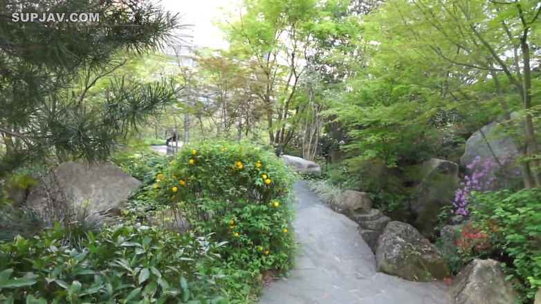 The Sexual Issues: Ángel asiático 22677