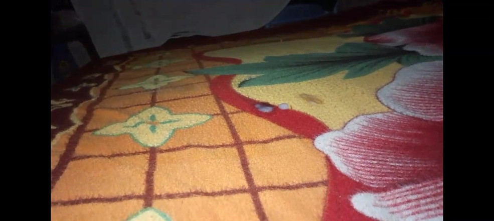 Masturbator emmy: Niente è come bello come scoparmi il letto