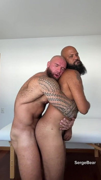 Dua beruang berotot panas / pasangan gay bear