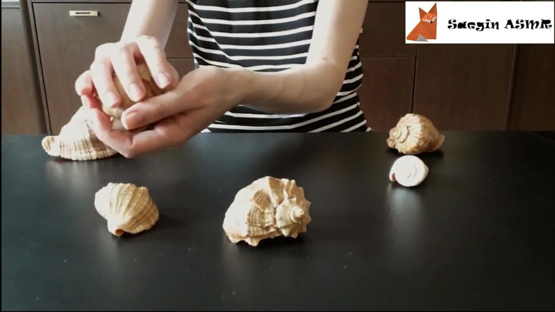 Saegin: 2[ASMR] Rubbing together and scratching seashells (no talking)
