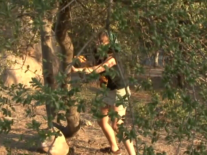 Bananas with Melons: Trio 3_lesbian adegan cewek pecinta adegan dengan mainan seks muncrat bareng-bareng