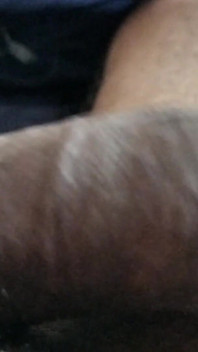 Černý čůrák