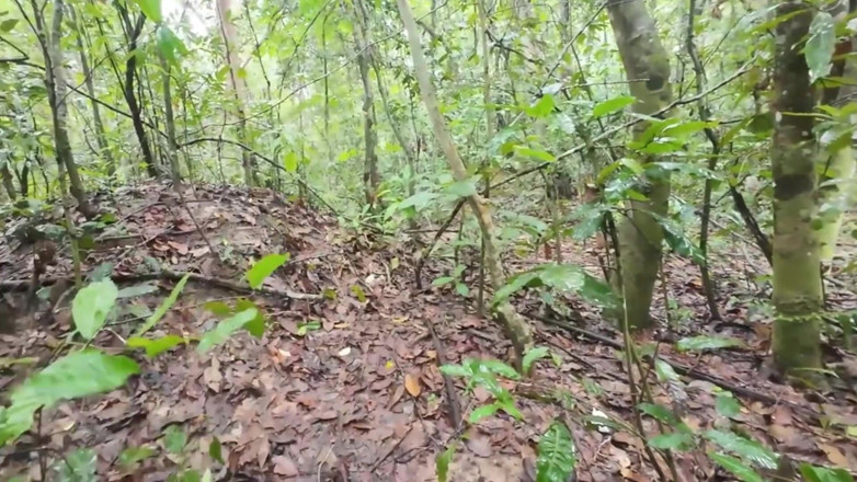 RealThaiSolo: Une Thaïlandaise se promène et se vante de ramasser des...