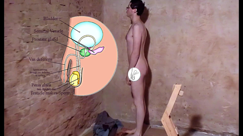 Mark Hannes: Standul cu Fleshlight, Sex cu Wood Anal Plug Masturbare