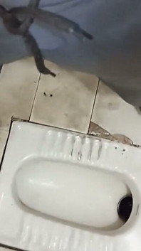 Hintli büyük siyah penis açık havada amcığını sikiyor