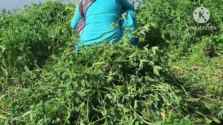 Savita5343: Üvey kız kardeşimi ganga bankasında hardal tarlasında domaltarak sikiyorum