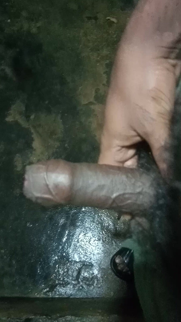 John Denver: Balke çiçeği hakkında hisler ve güzel bir his