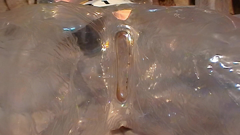 Mark Hannes: Cleardoll creampie fick masturbation