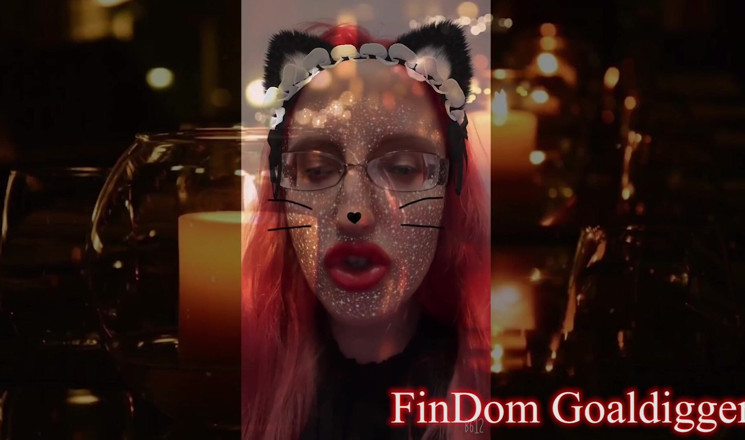 FinDom Goaldigger: Cat shemale princess transformation