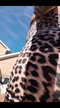 I Was a Cheetah Girl Today. I Had a Good Route in the Burbs and Was Cool with My Cheeta Print