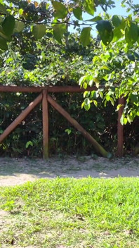 O masturbare manuală riscantă pentru o tipă atrăgătoare în parc!