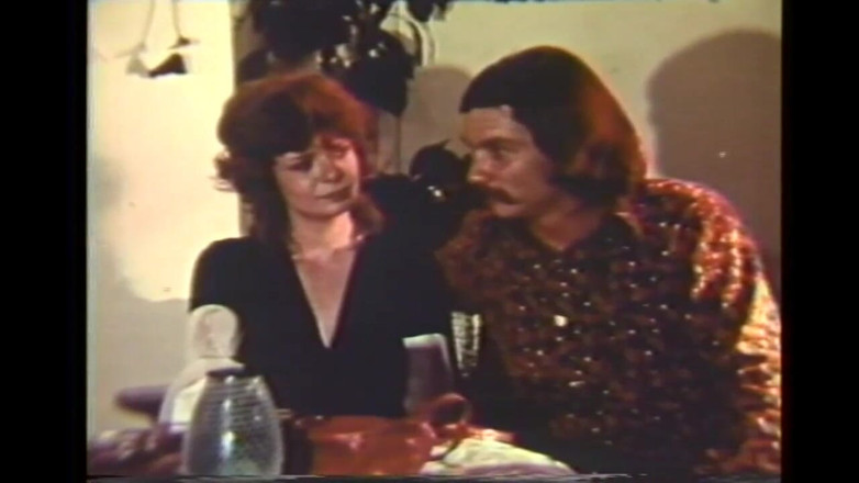 Vintage Usa: Das kondominium der behaarten muschi-nymphomaninnen-prostituierten (kompletter film)
