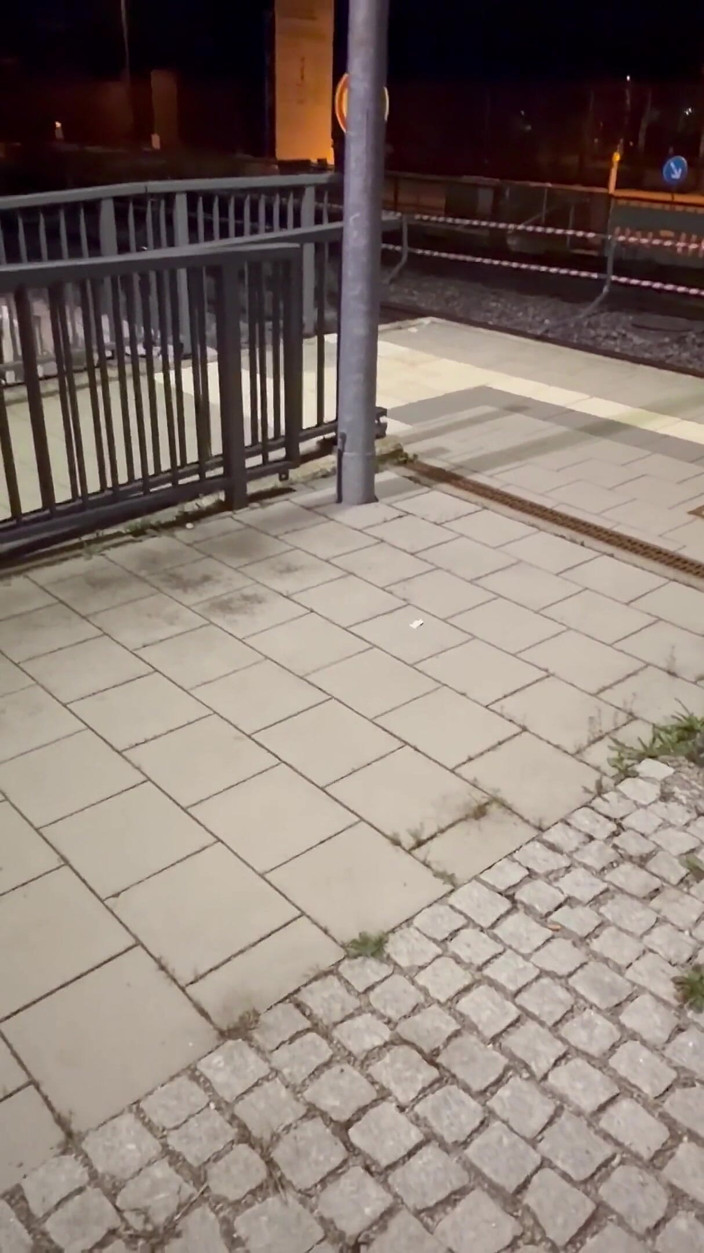 LizaRoxx: Random Reunion på Tågstationen ... Vi kunde inte motsätta oss