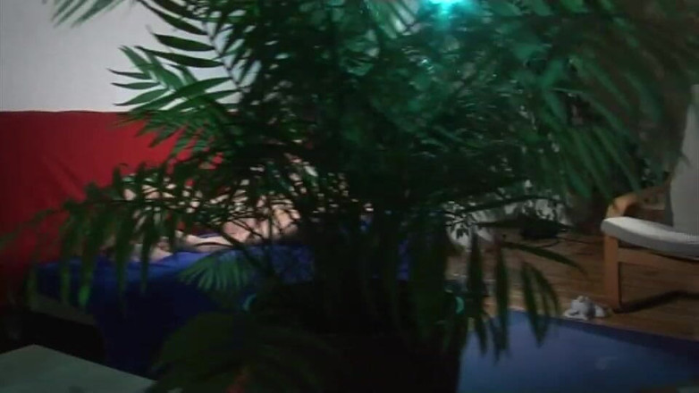 Spritzz: Sange sepuasnya