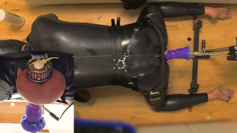 Chastitybeltboy: Latex Chastity Cage Sissy on Sex Machine Pillory, Dildo and...