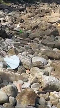 Hot Brunettes in Thong Bikini on the Trail of the Deserted Beach Delicious