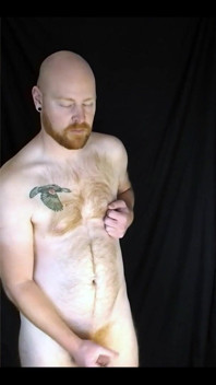 You Like Lookin' at This Fuzzy Ginger Fella?