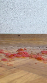 Patas Enormes Frente a Tomates Cherry