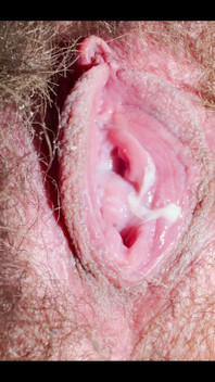 Extremely Close-up of a Hairy, Creamy Pussy