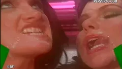Bisexual porn classics from the nineties DVD