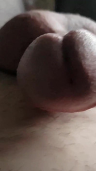ขา Dani ในตาข่ายดำเซ็กซี่