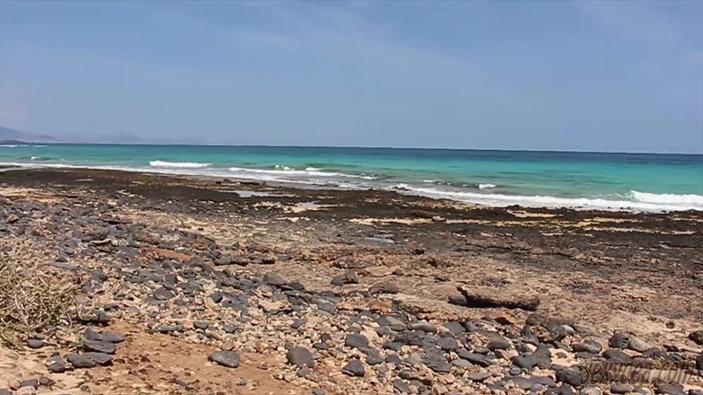 King of datass: Fuerteventura Beach Squirt Cum