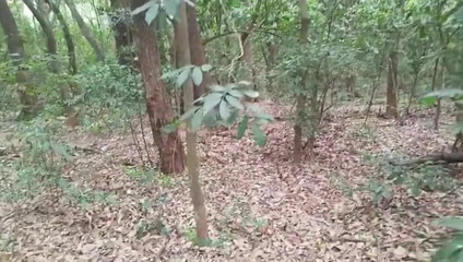 TheBlacKHunterr: Bir şeyler almak için lagüne uğradım ve