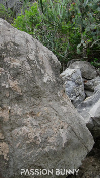 Super Hot and Passionate Bikini Flashing on the Beach