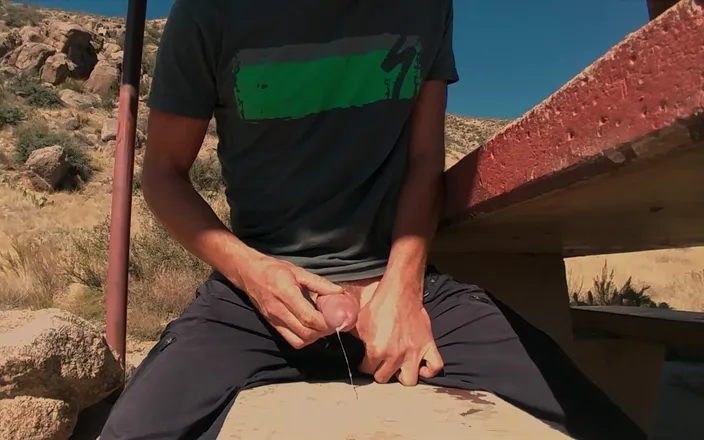 Lapetus: Jerking off on a picnic table